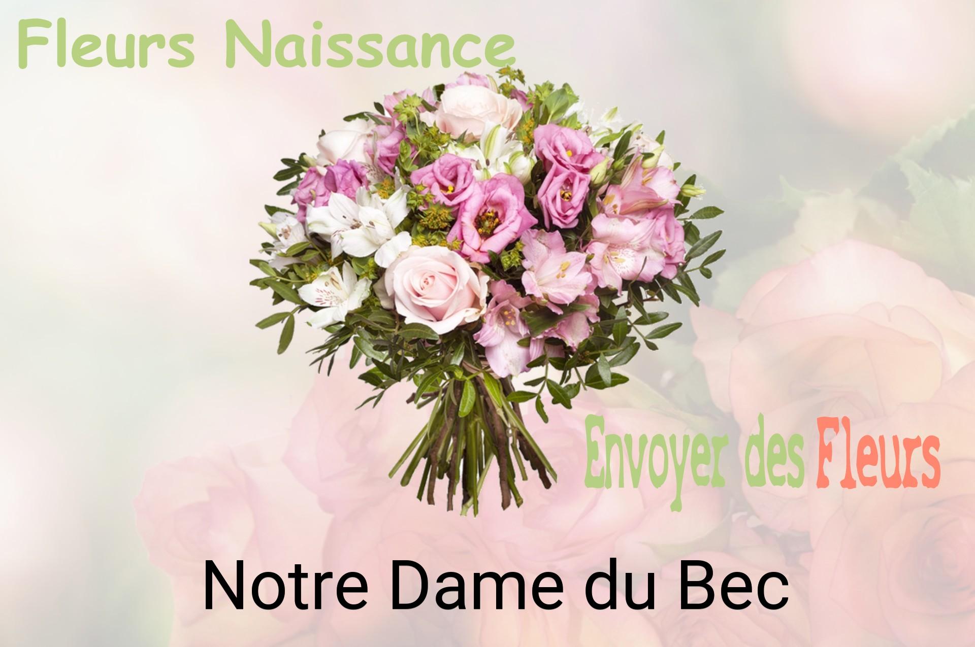 Bouquet de fleurs de naissance livré à Notre-Dame-du-Bec